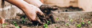 Geschenkideen Gartenliebhaber*innen